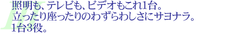 照明もテレビもこれ１台